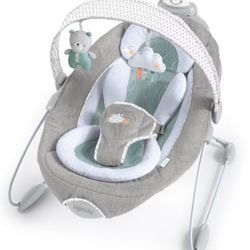 Baby Bouncer baby carrier New Ingenuity 