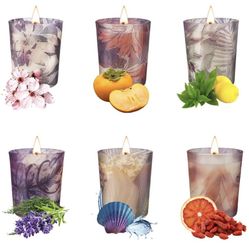 Scented Candle Luxury Relaxing Candles with Soy Wax as Stress Relief Gifts for Women on Birthday, Wedding, Party, 6 Pack