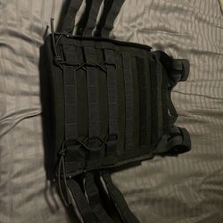 Crye Plate Carrier