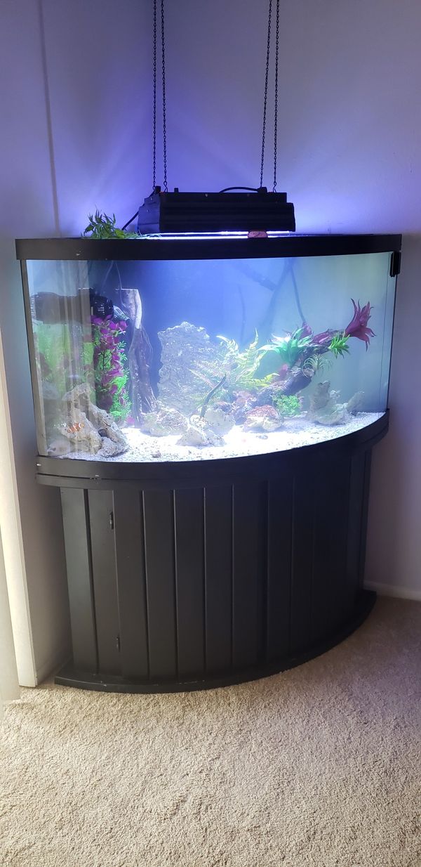 100 gal, drilled,corner saltwater fish tank for Sale in Port Richey, FL