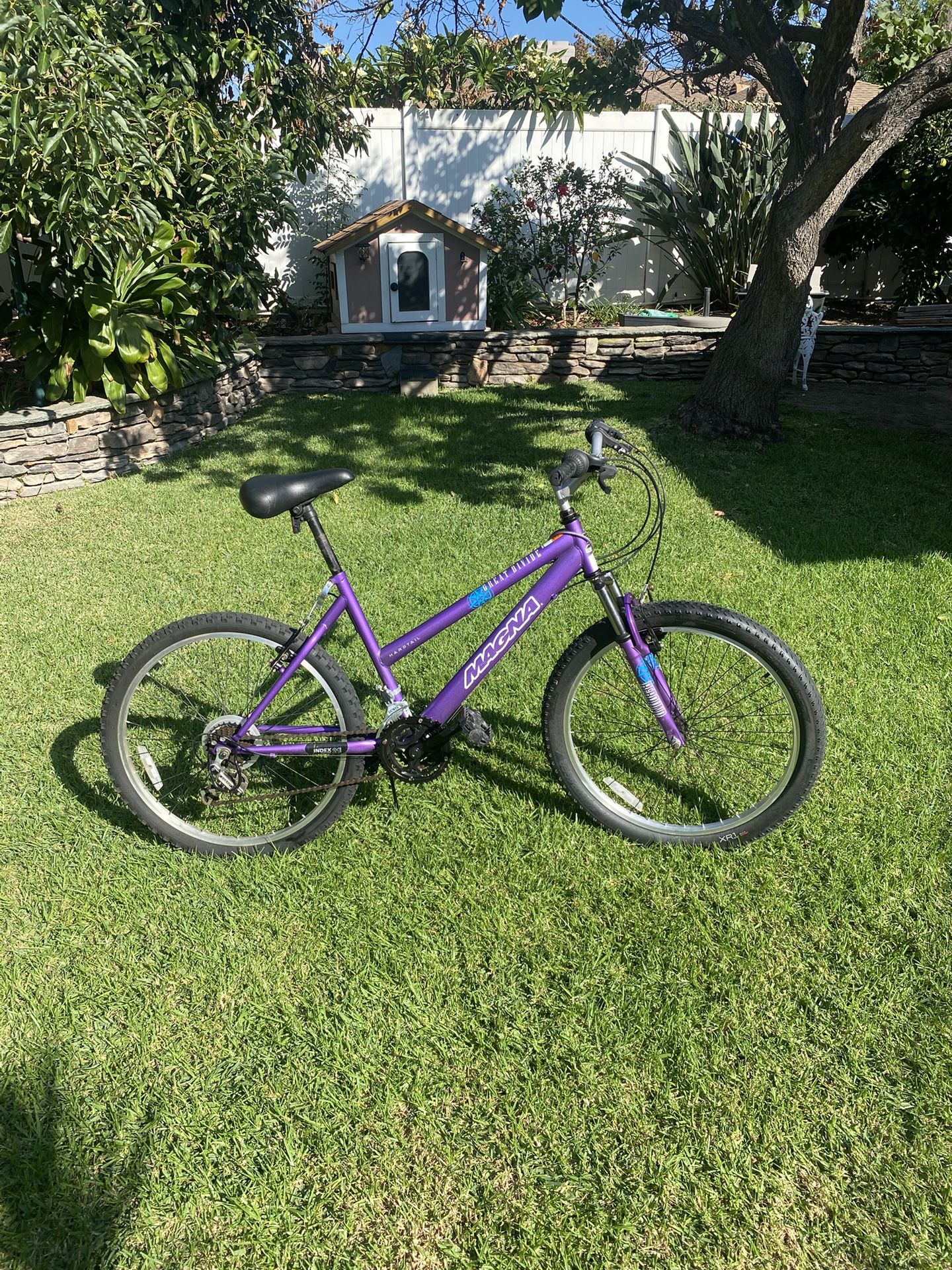 24” 21 Speed Magna Mtn. Bike W/ Brand New Tires & Tubes
