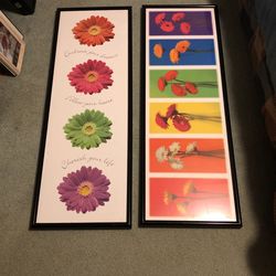 Multicolored Daisy Framed Artwork
