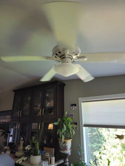 White ceiling fan