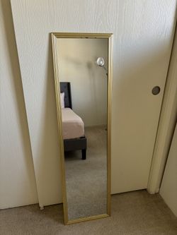 Gold Door Mirror
