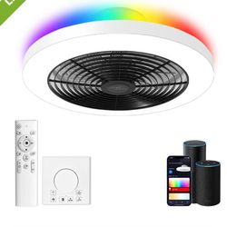 Smart Ceiling Fan/light