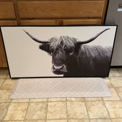 Highland Cow/Bull Home Decor