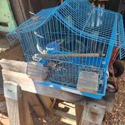 Bird Cage