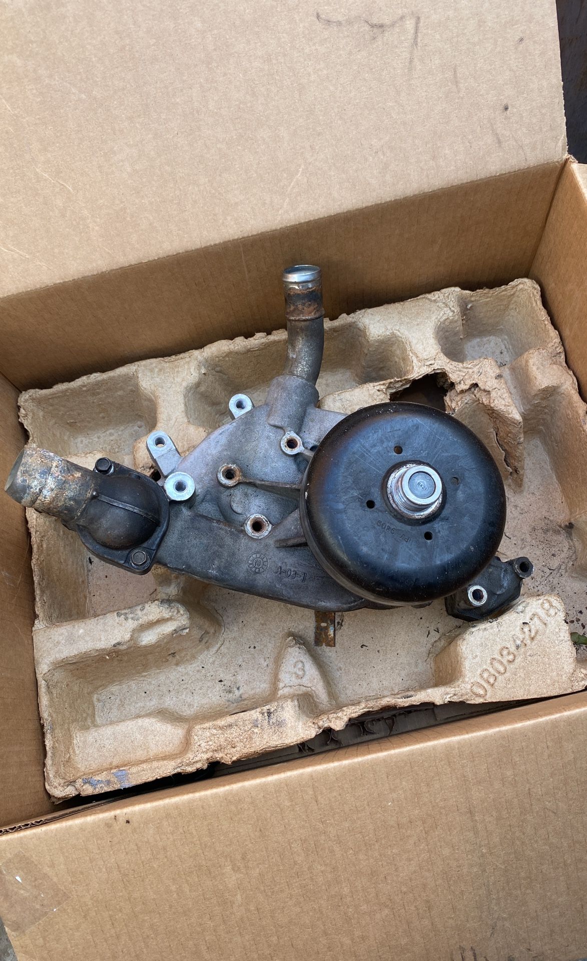 Chevy Water Pump