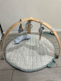 Ingenuity Activity Gym