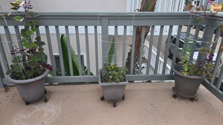 Large planters