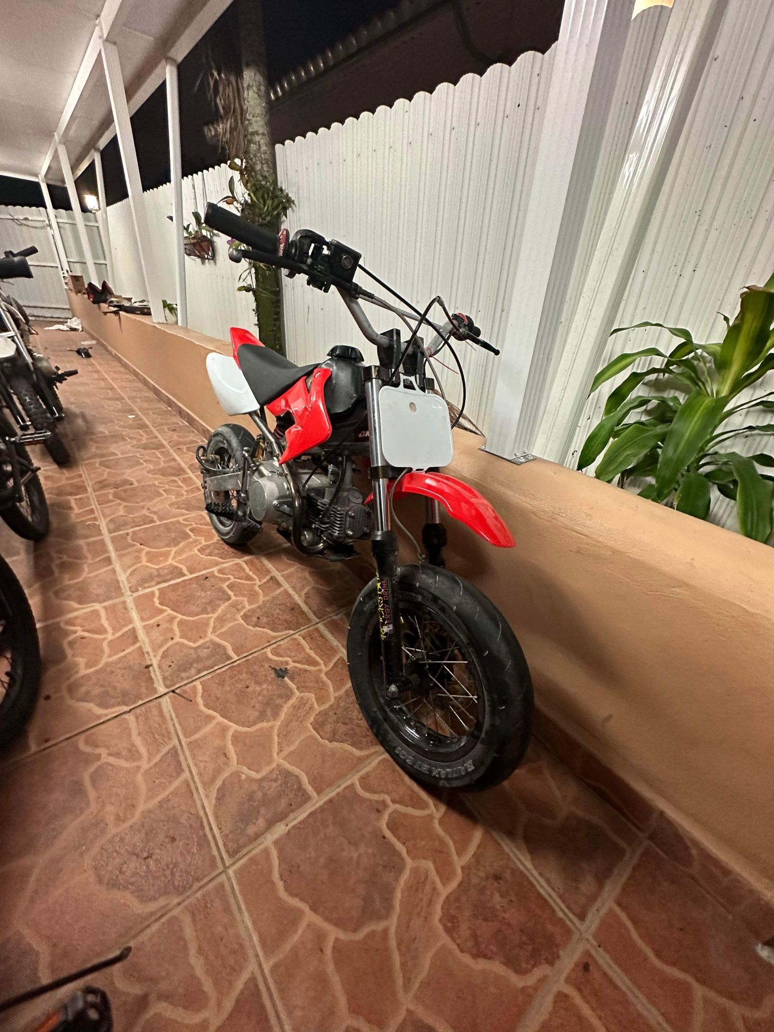 Gumtree promptness monkey bike