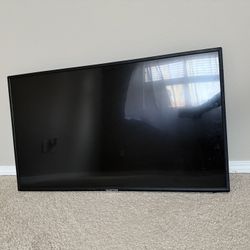 Sceptre 44’ Flat Screen TV