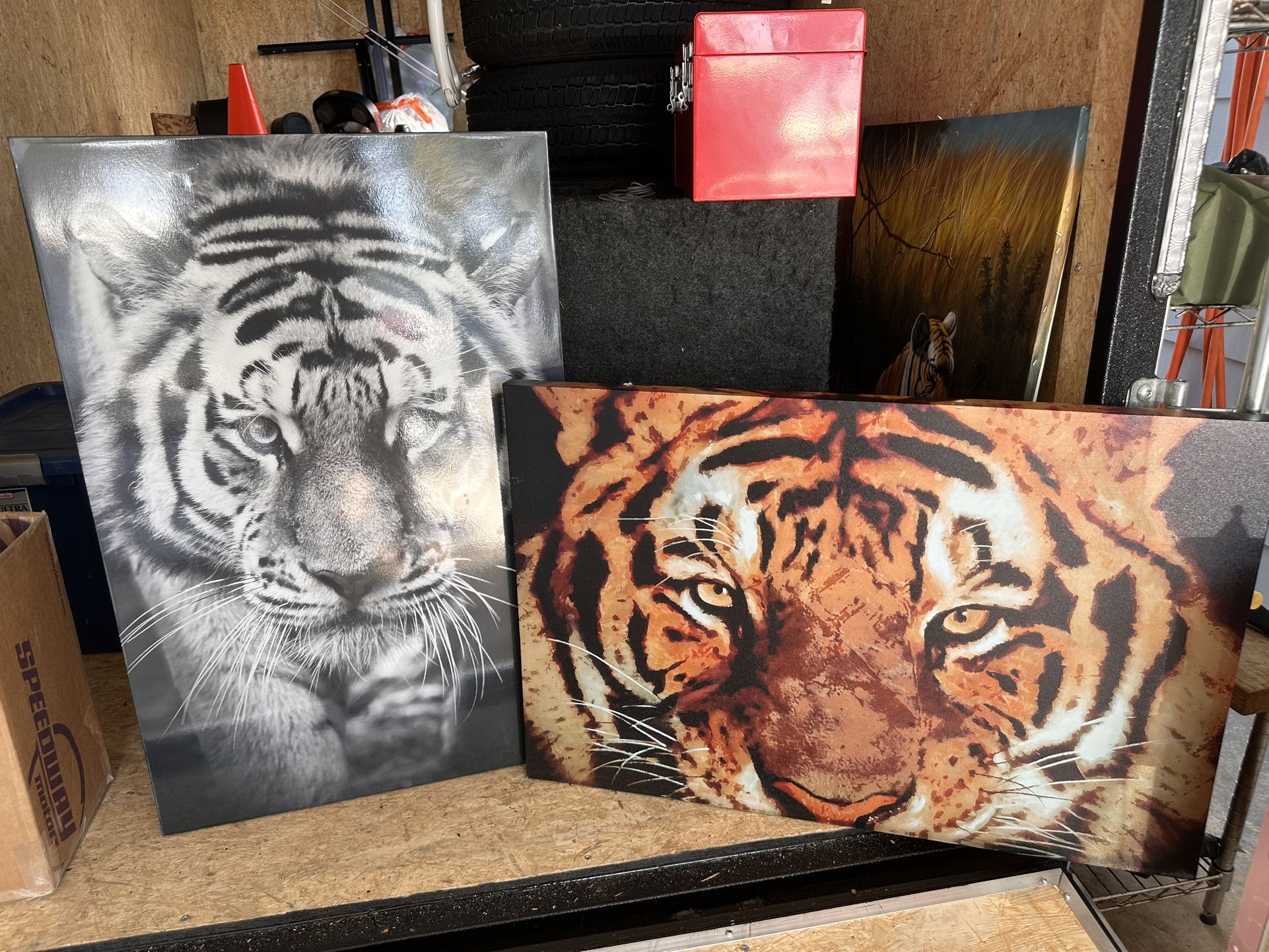 Canvas Tiger Prints