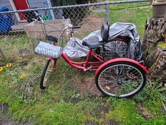 Adult Red Tricycle