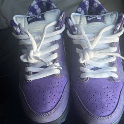 Purple lobsters