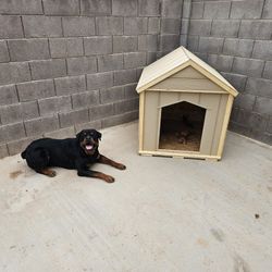 Large Dog House
