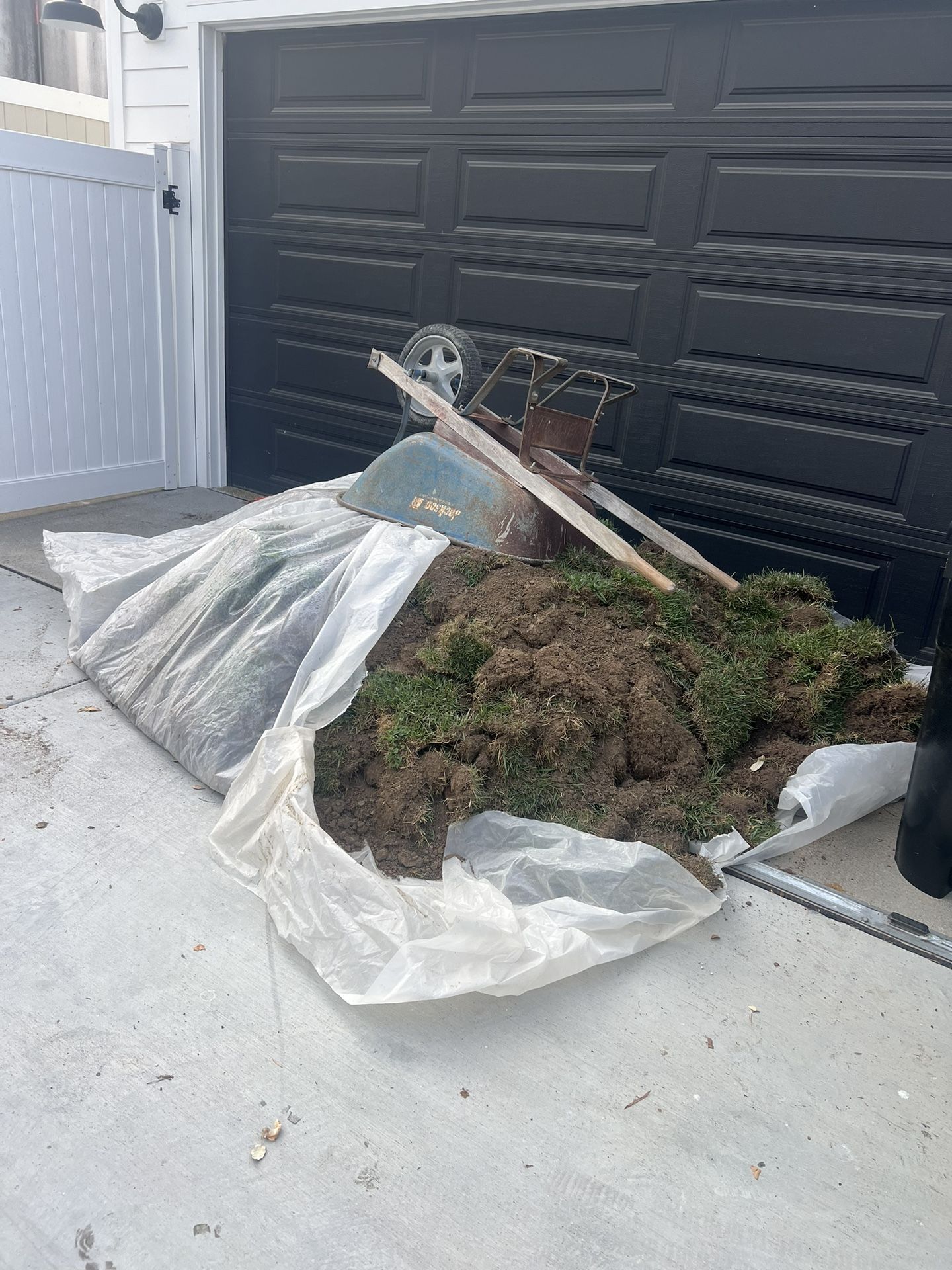 Dirt/grass