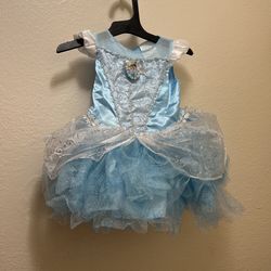 Cinderella Costume 