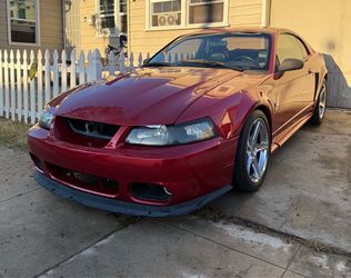 2001 Ford Mustang SVT Cobra