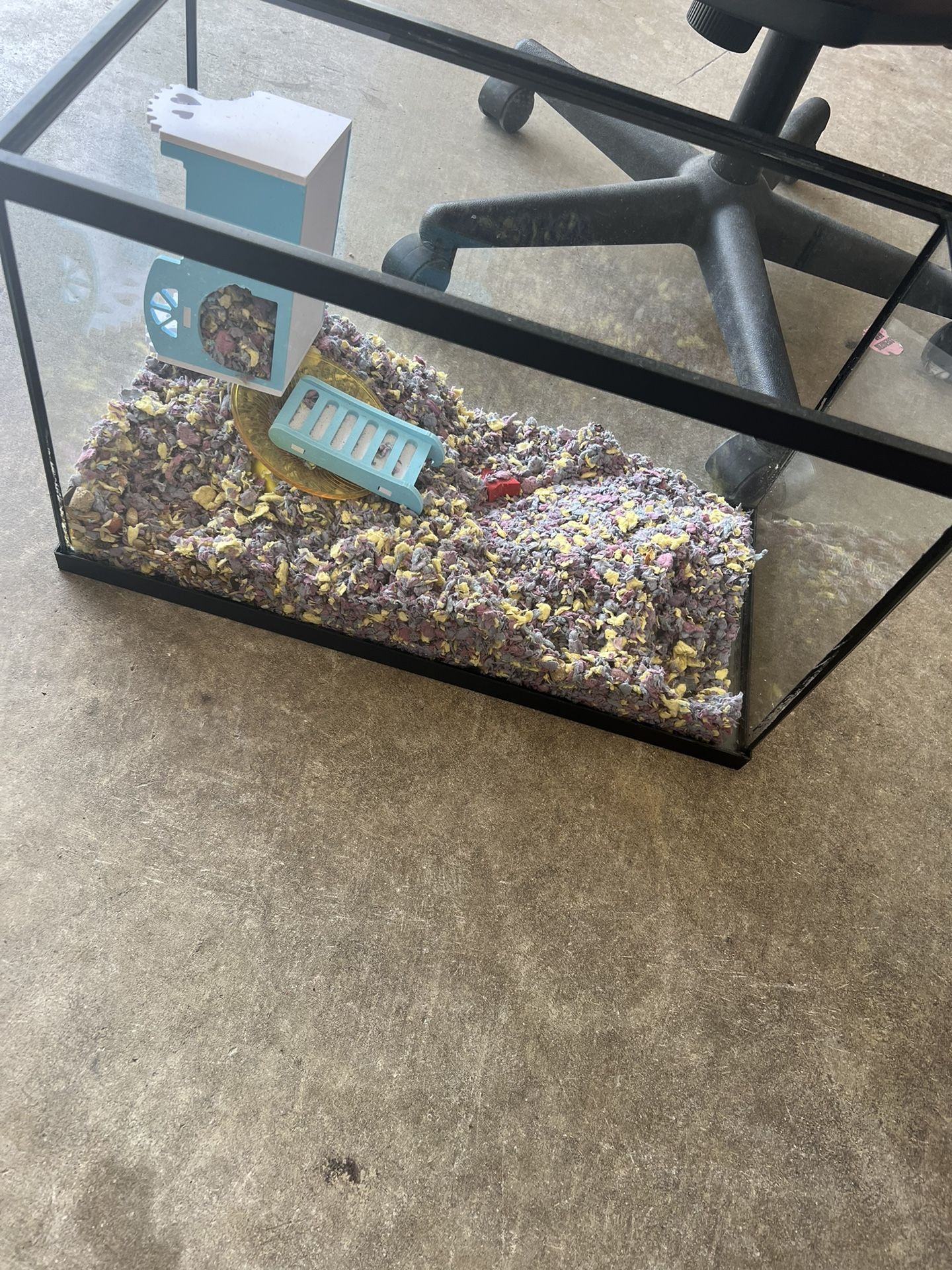 Hamster Cages