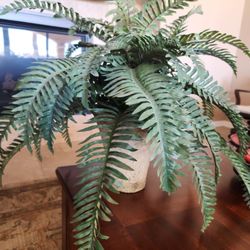 Lushy Fern  For Side Table Or A  Center Table!