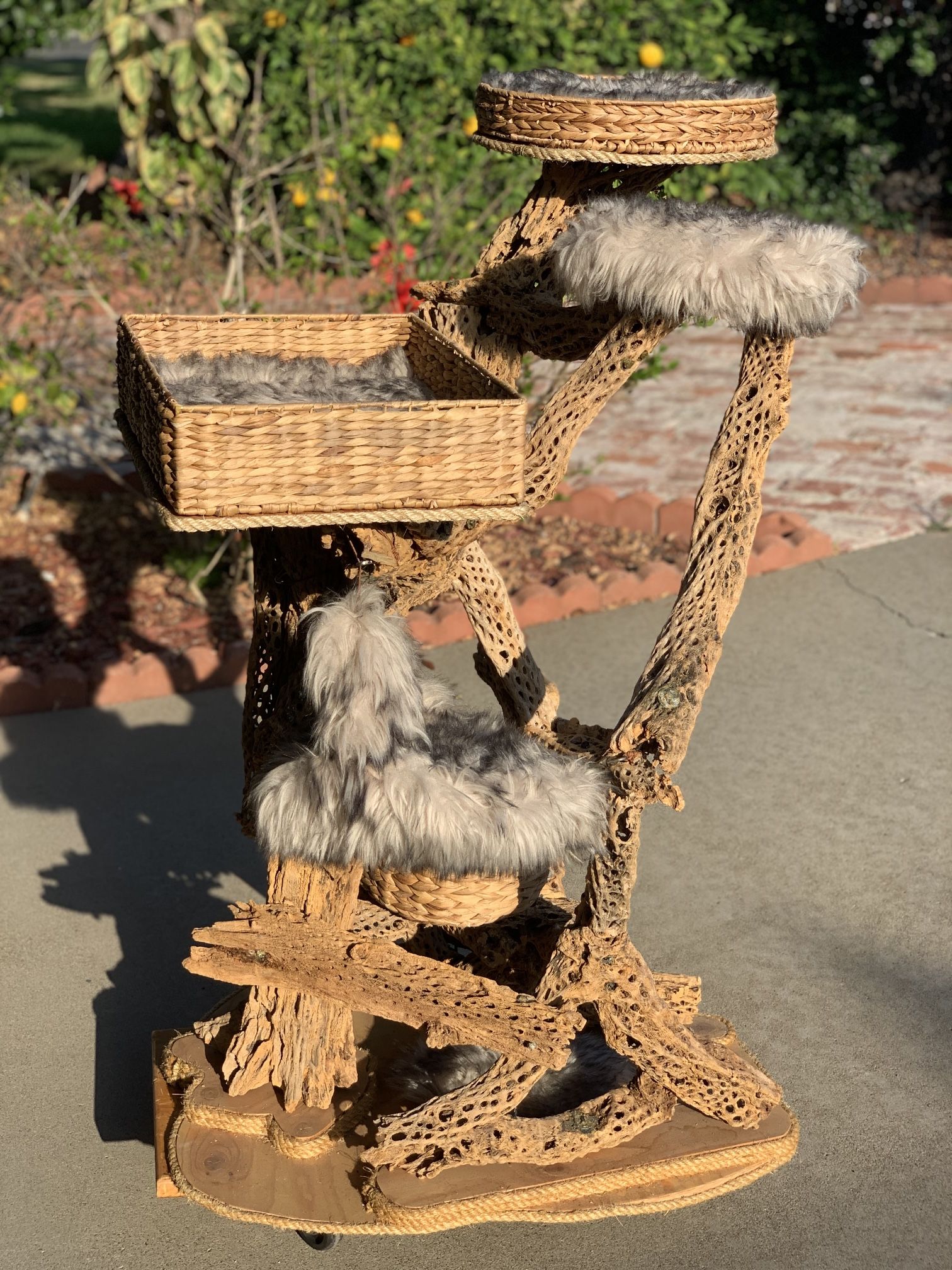 CAT Tree Tower ON SALE One Of A kind Sculptural Driftwood