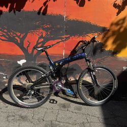 Mountain bike