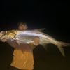 Jay M