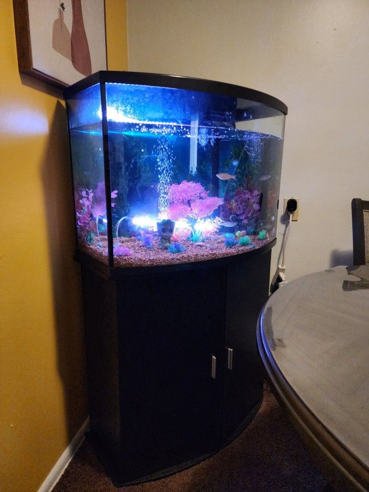 Fish Tank 36