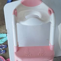 Potty Training Chair