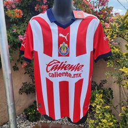 Chivas Home Soccer Jersey 23 24