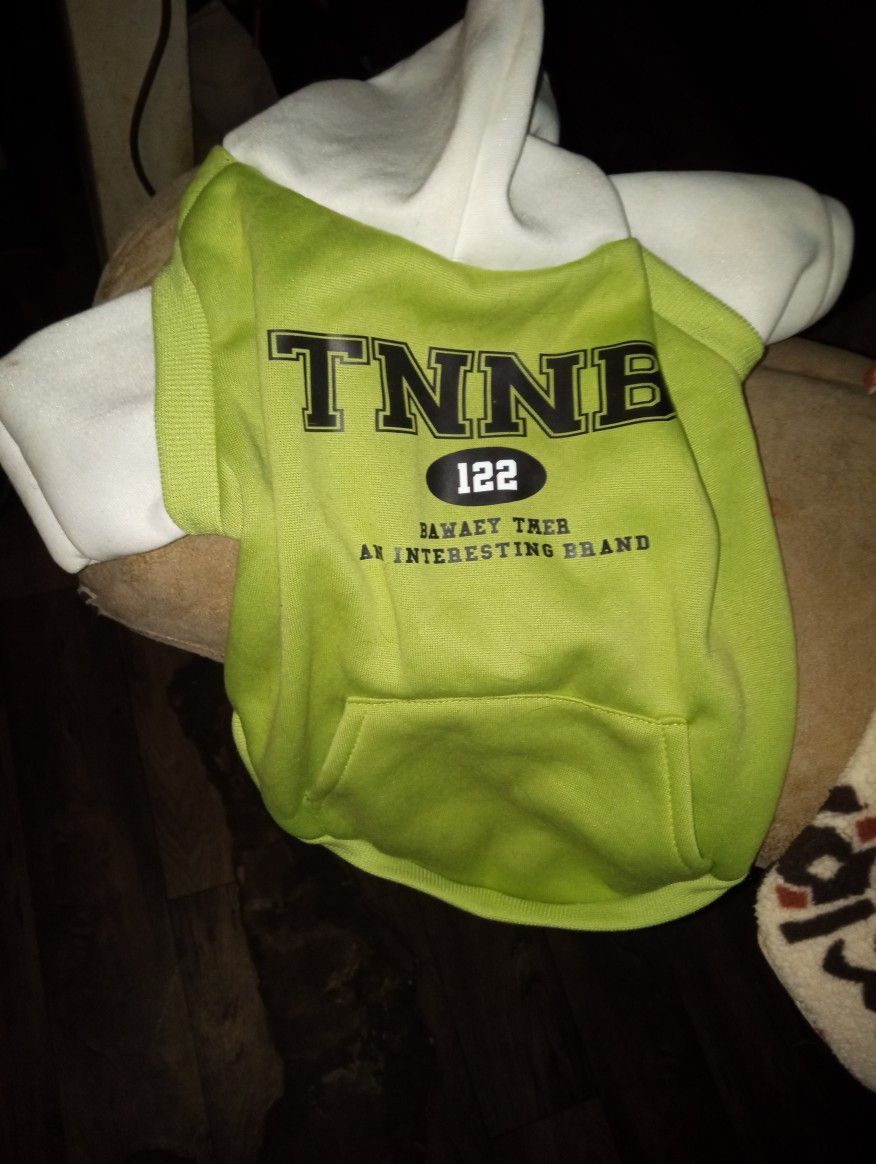 2 Hooded Shirts & Light Up Collar 