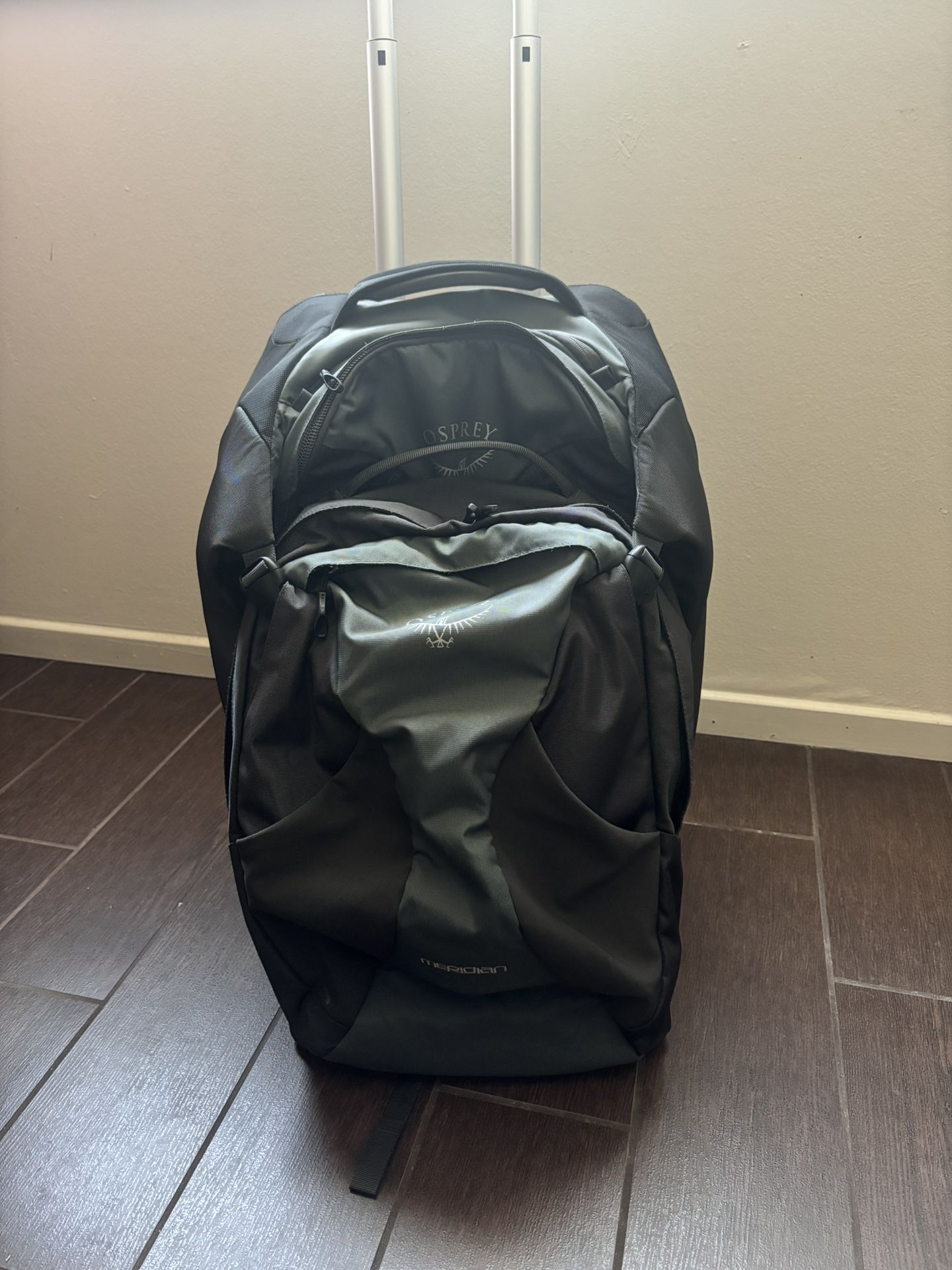 Osprey Luggage Backpack