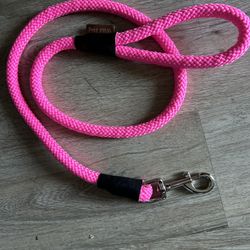 Dog Collar And Leash 