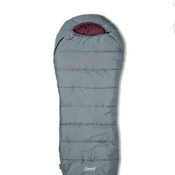 Brand New Sleeping Bag 