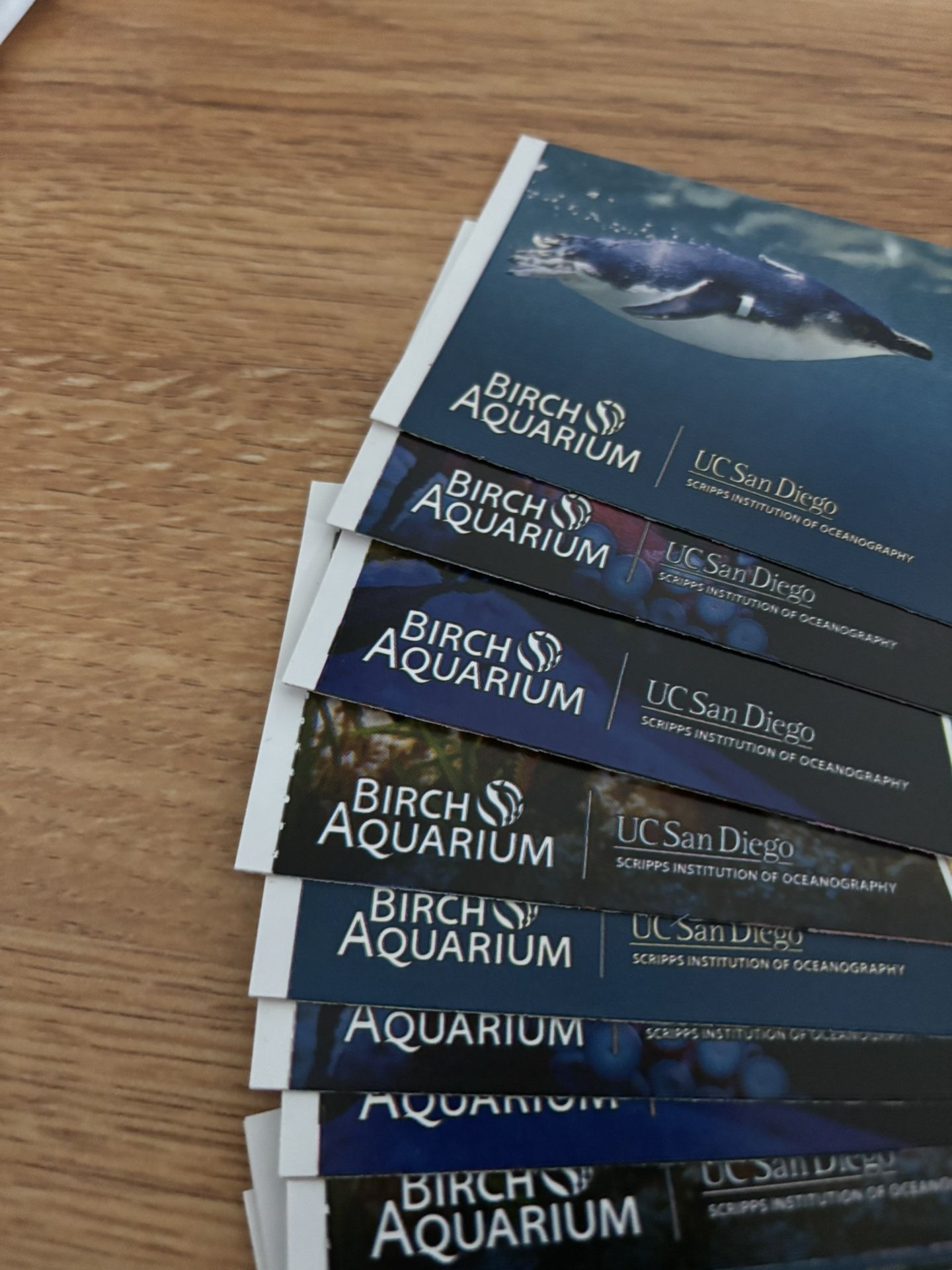 Birch Aquarium Tickets
