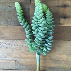 Garden artificial succulent 9”hx4”w NEW