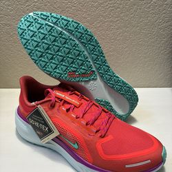 Nike Pegasus Gore-Tex