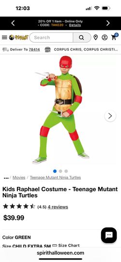 Teenage Mutant Ninja Costume