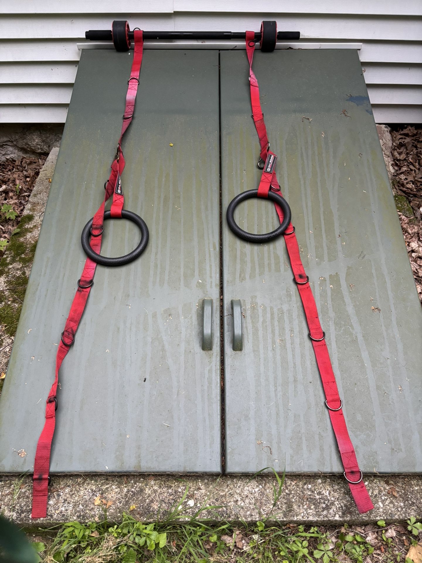 TRX Door Straps