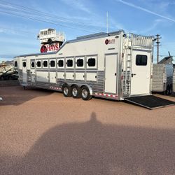 8 Horse Cimarron Trainer Tack