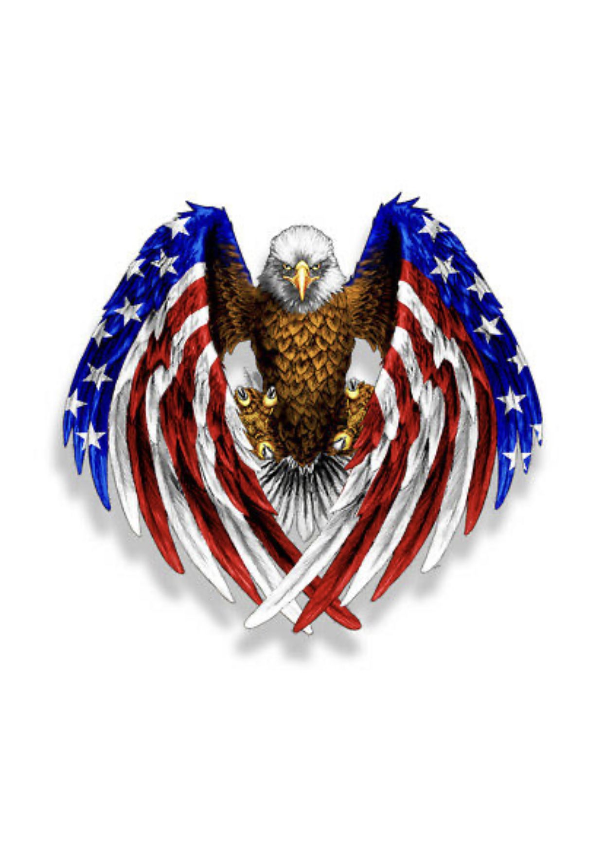 American salute eagle flag