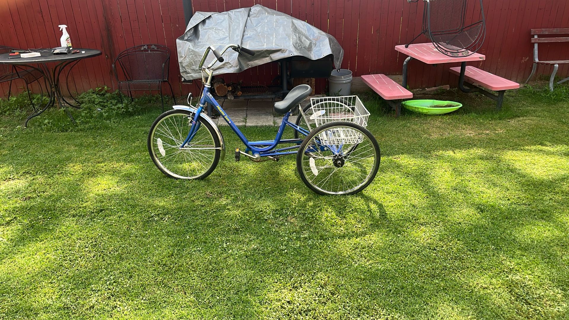 Tricycle bike