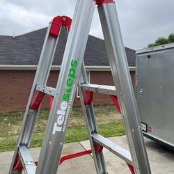 Telesteps Aluminum Folding Ladder 