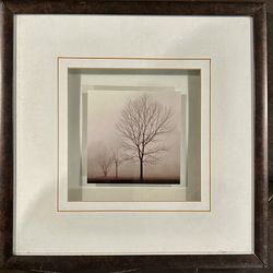  art print titled "Gathering Trees" by photographer Richard Calvo. 