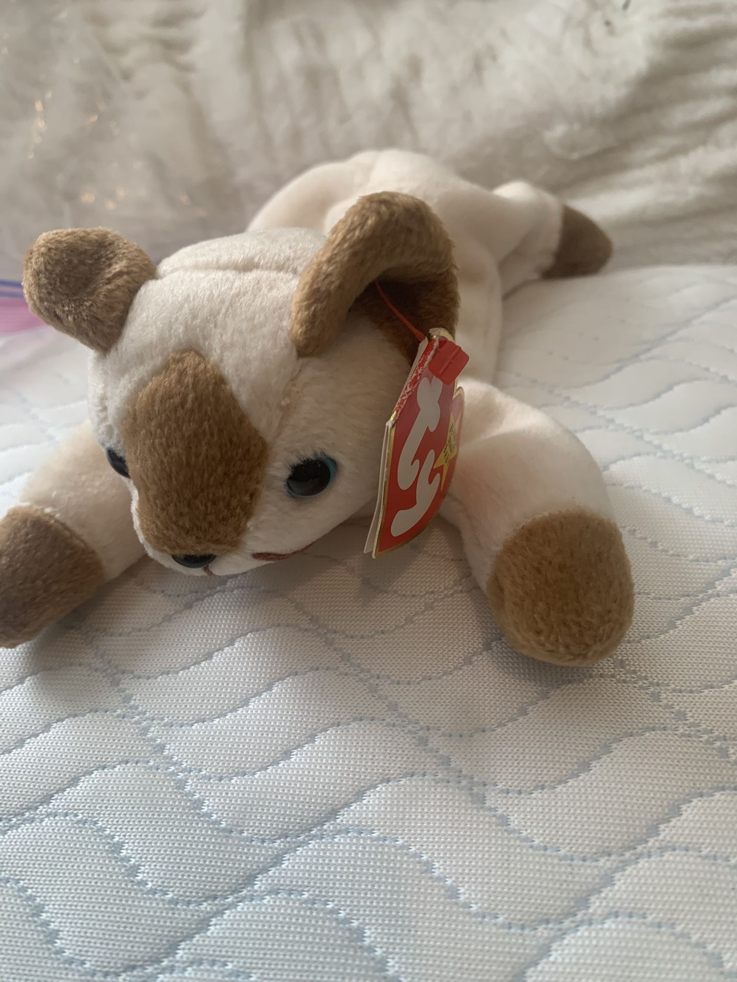 Beanie Babies