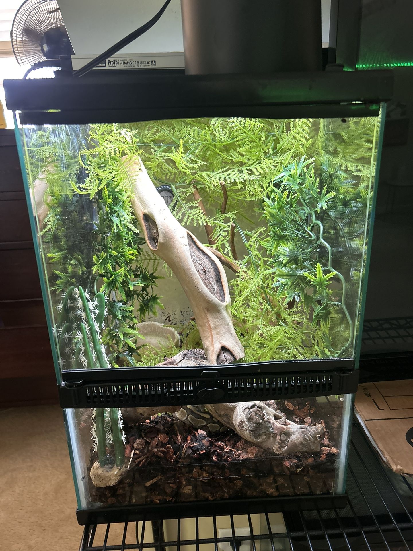 Lessee Ball Python Bio active Cage