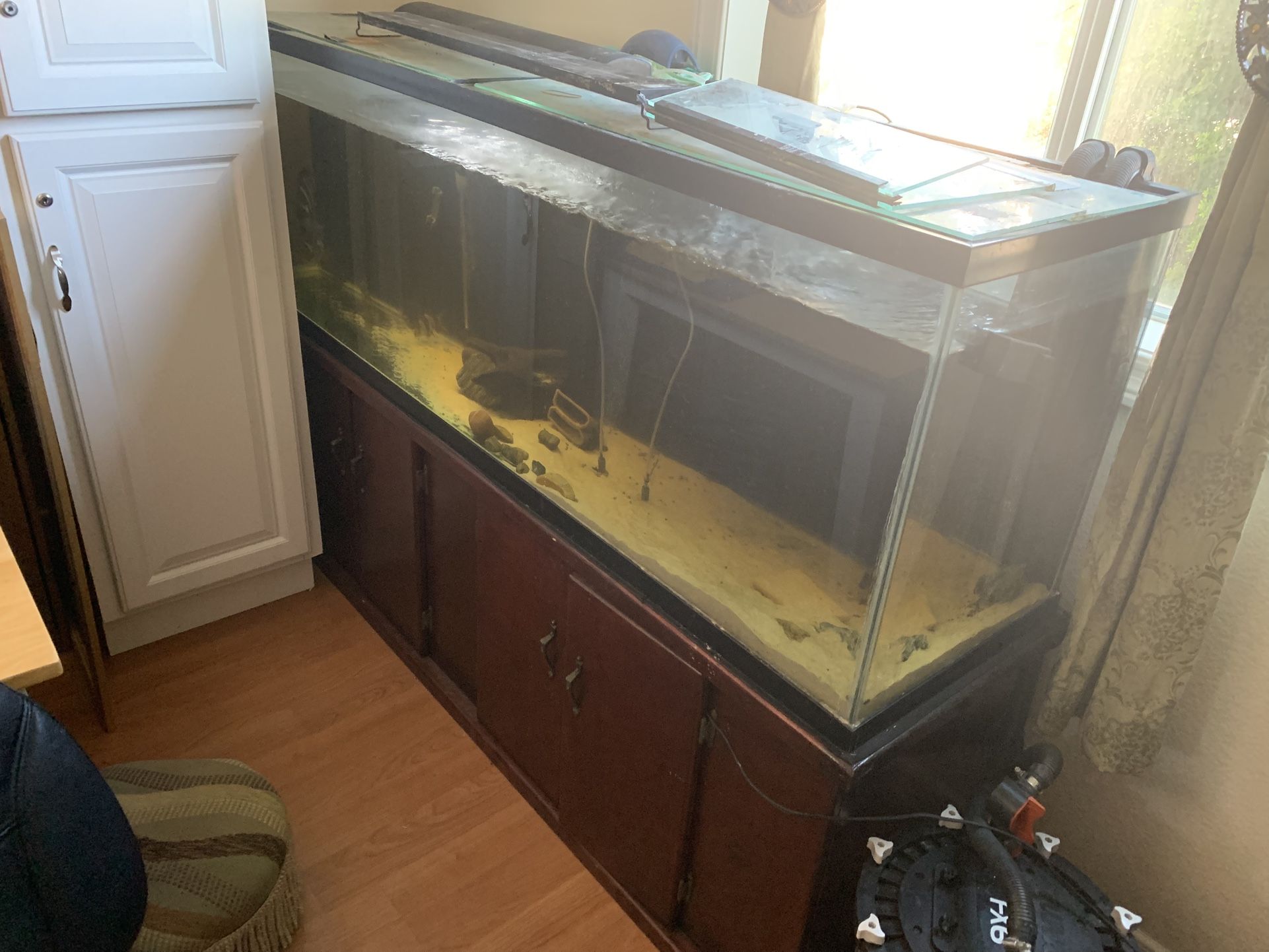 135 Gl Fish Tank