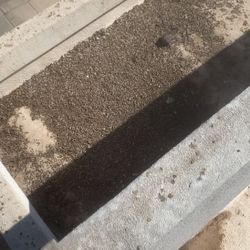 Bird Control