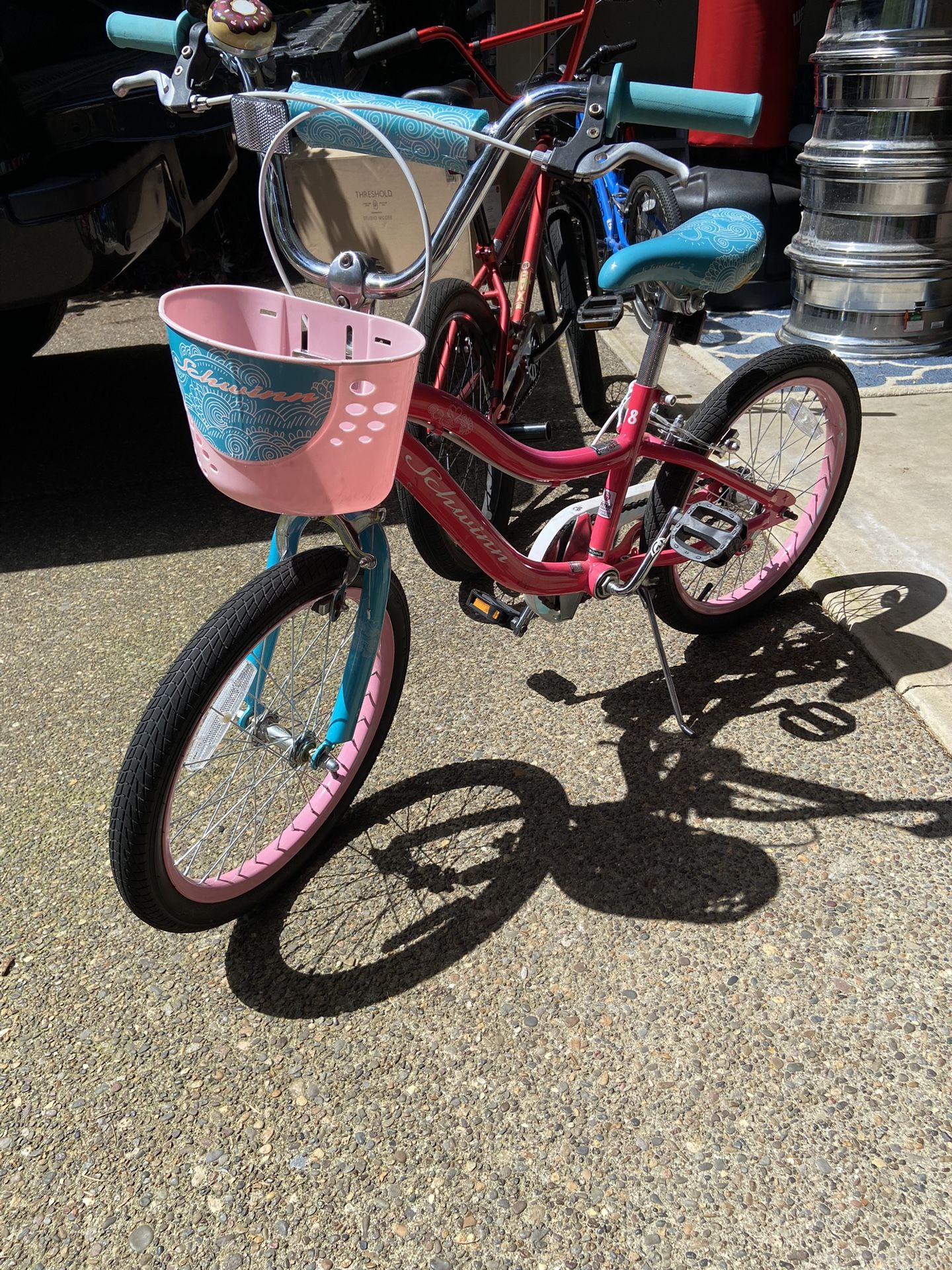 Girls 18 In Schwinn Bike
